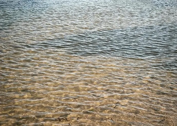 Il Grifo 게스트하우스 리카타