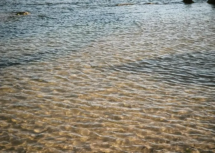 בית הארחה Il Grifo 3*