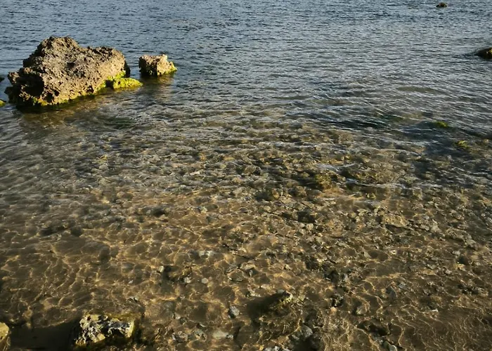 게스트하우스 Il Grifo 리카타